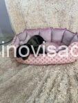 2dordedownload (2)